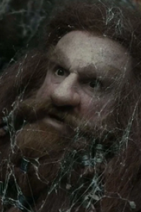 Hobbit, The: The Battle of the Five Armies